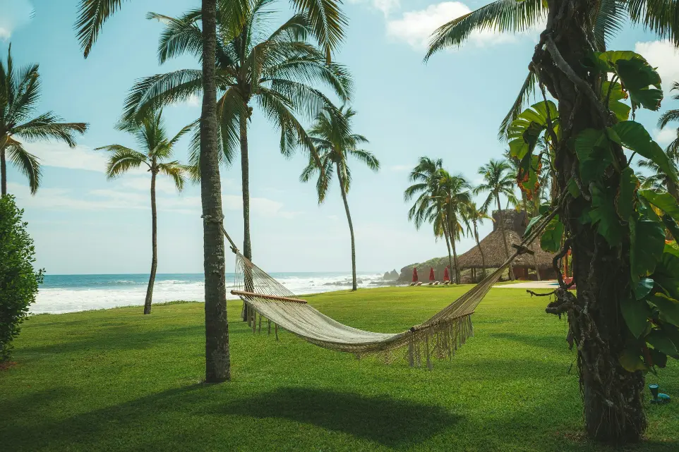 a hammock between two palm trees on the beach
